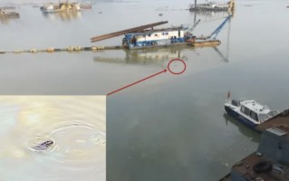 中央督察组暗访发现小江豚被困油污，当地官员：它只是条大青鱼！