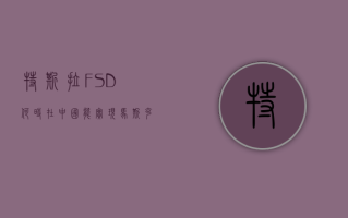 特斯拉 FSD 何时在中国能实现？马斯克回复：可能会很快